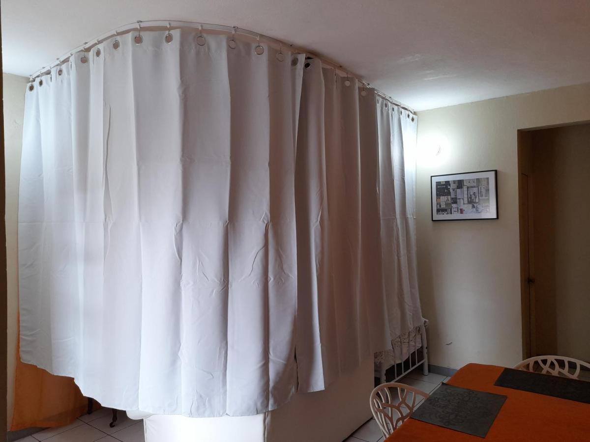 Camelia Homestay Kingston