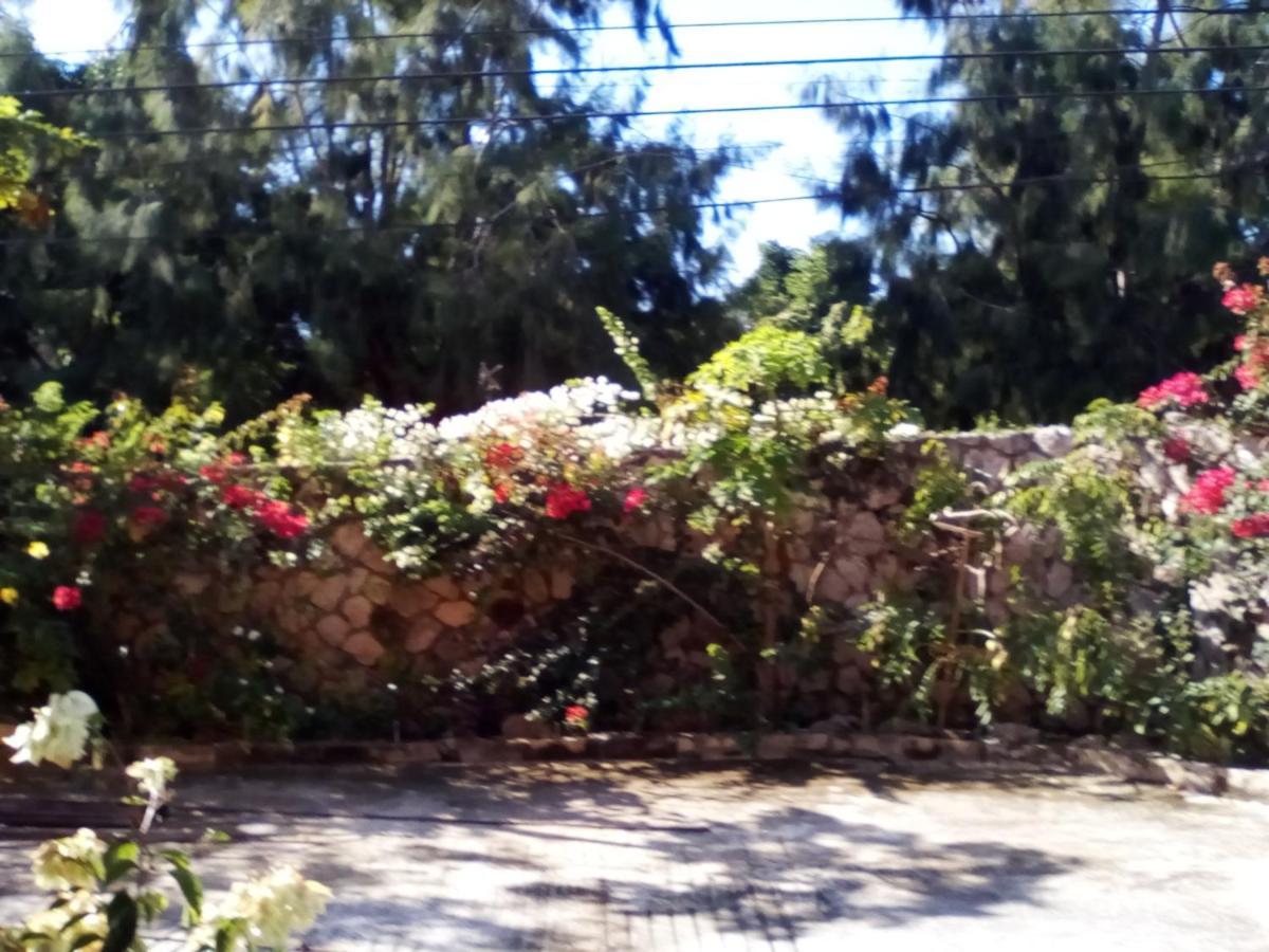 Guest house The Stoney Gate Negril