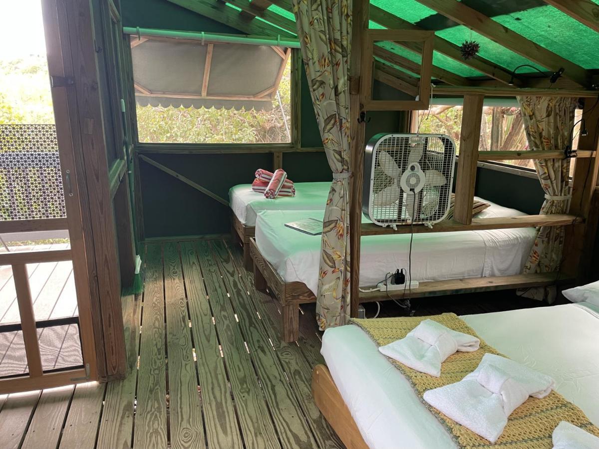 Acampamento Virgin Islands Water Island