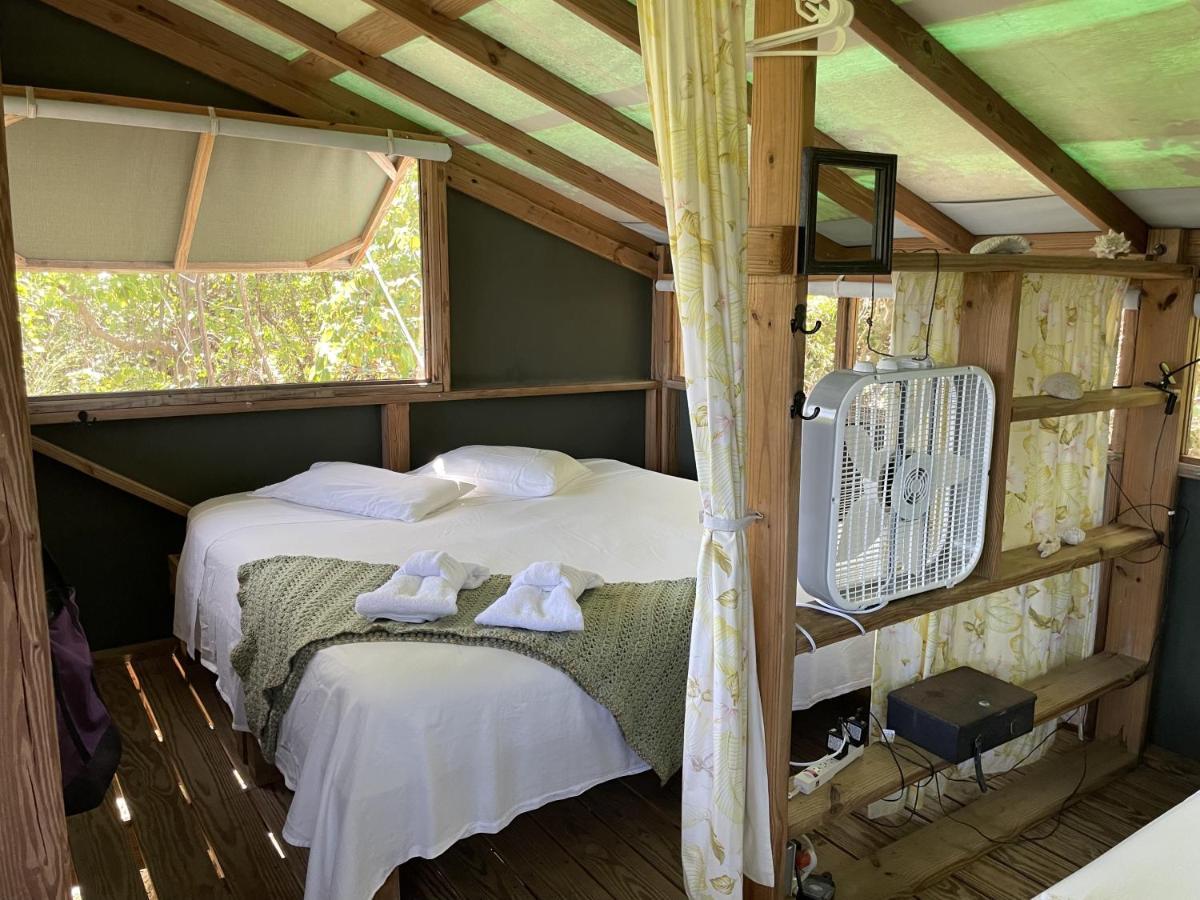 Acampamento Virgin Islands