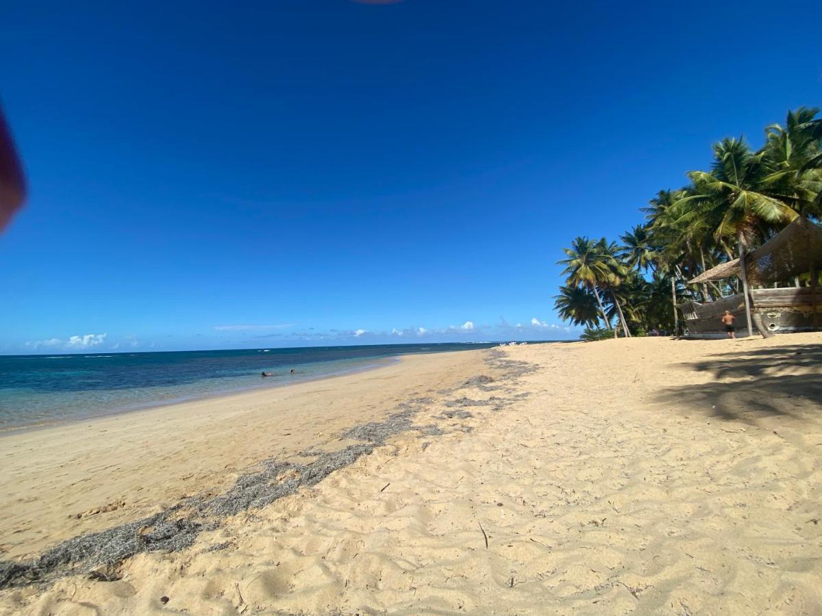 Terrenas Beachfront 2 Bedrooms With Pool Apartment Las Terrenas