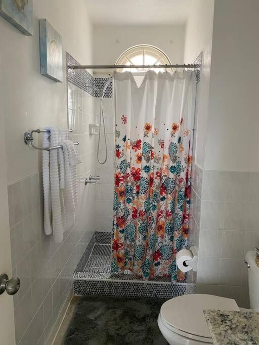 Coastal Beauty - Beautiful Penthouse In Ocho Rios