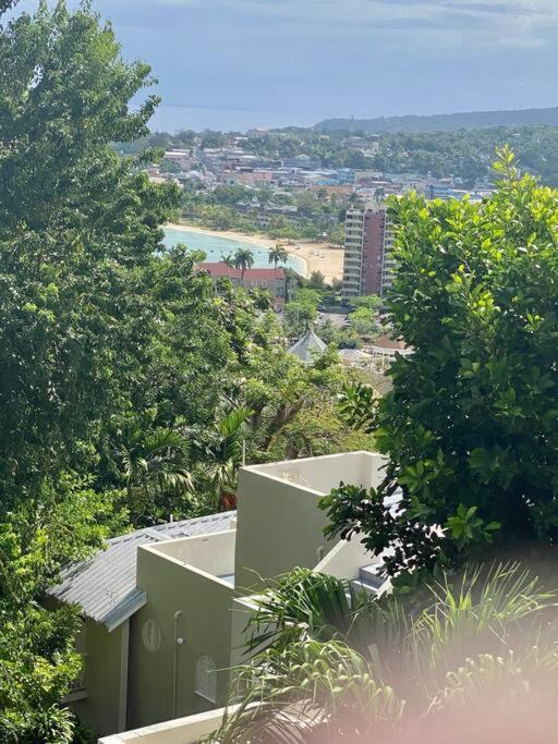 Apartment Coastal Beauty - Beautiful Penthouse In Ocho Rios