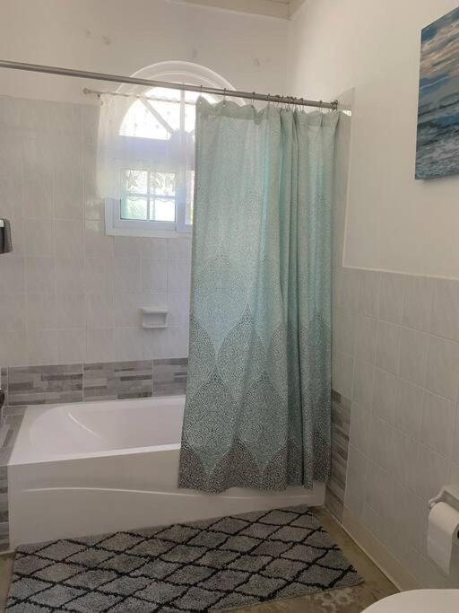 Apartment Coastal Beauty - Beautiful Penthouse In Ocho Rios
