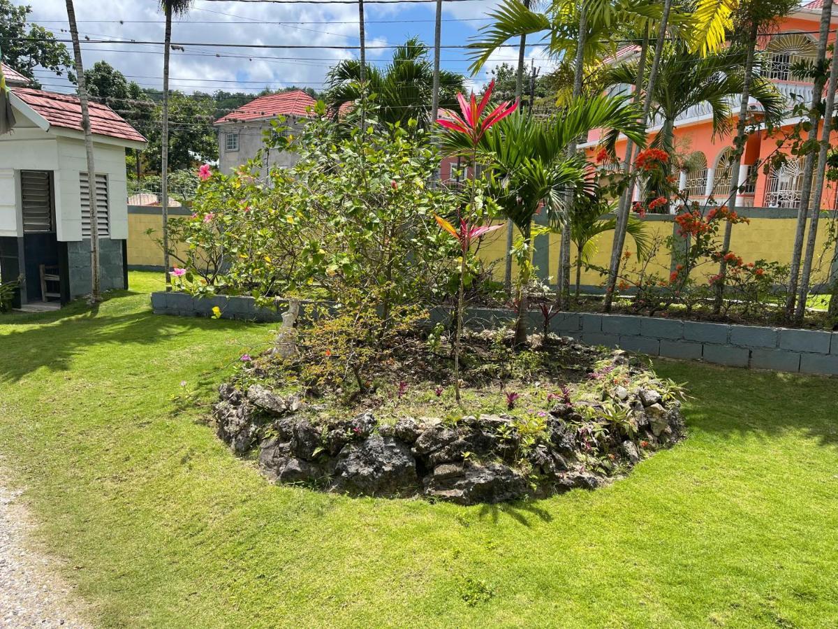 Guest house Little Shaw Park 2*