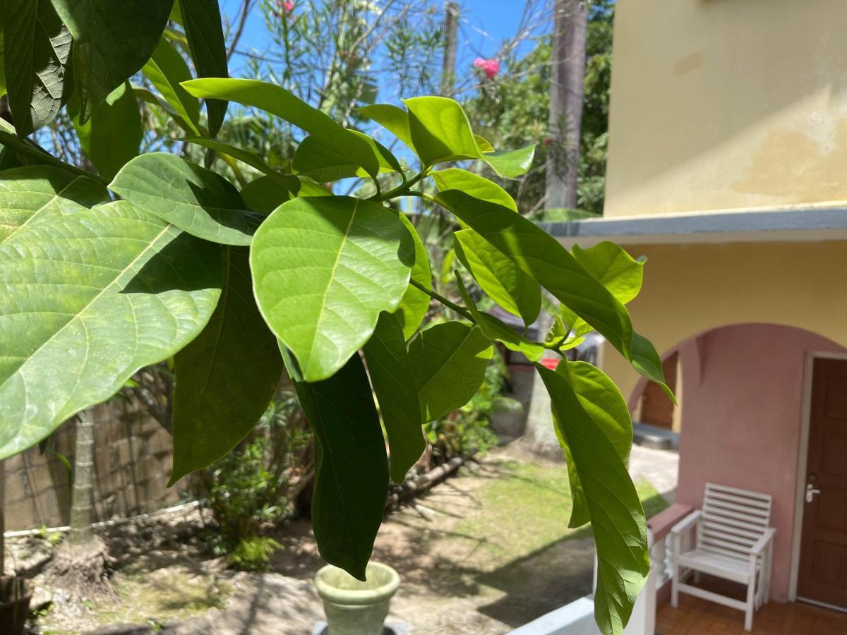 Little Shaw Park Guest house 2*