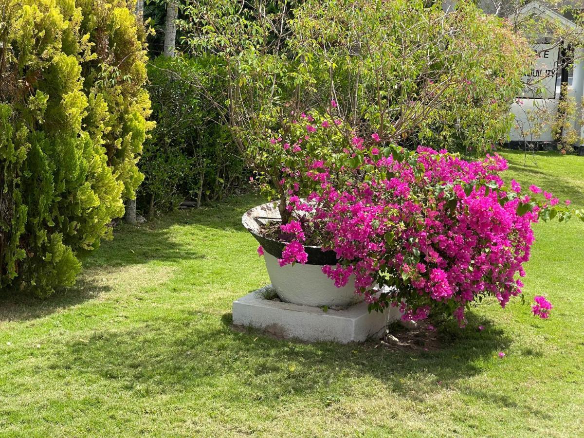 Little Shaw Park Guest house Ocho Rios