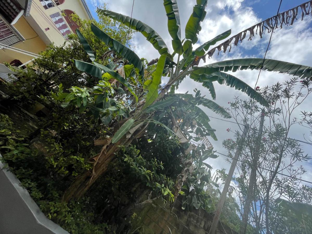 Little Shaw Park Guest house Ocho Rios