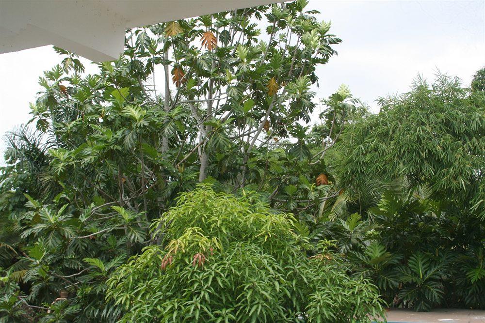 Pure Oasis Hotel Negril