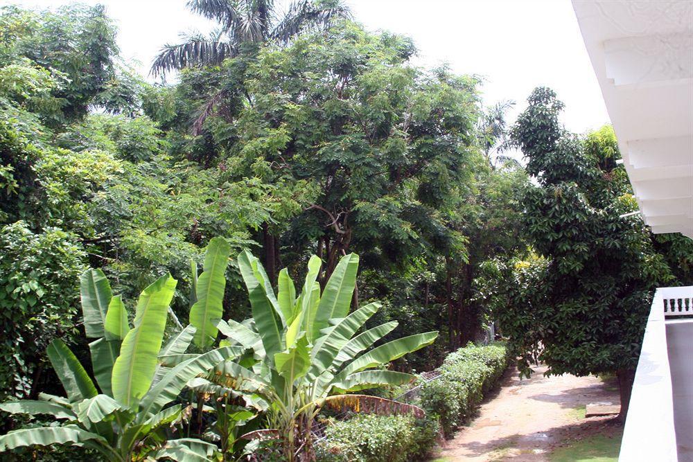 Hotel Pure Oasis 3*