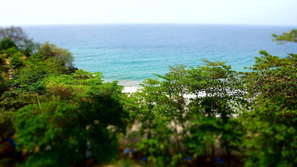 Bacolet Club Hotel 4*