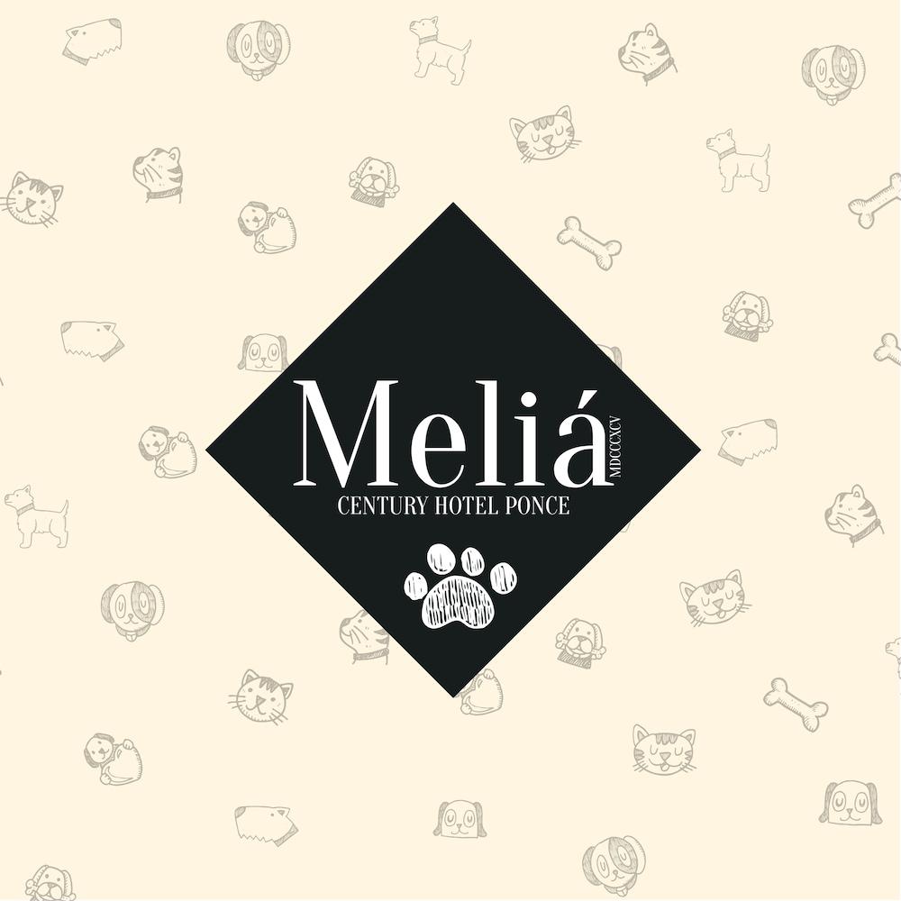 Hotel Melia 4*
