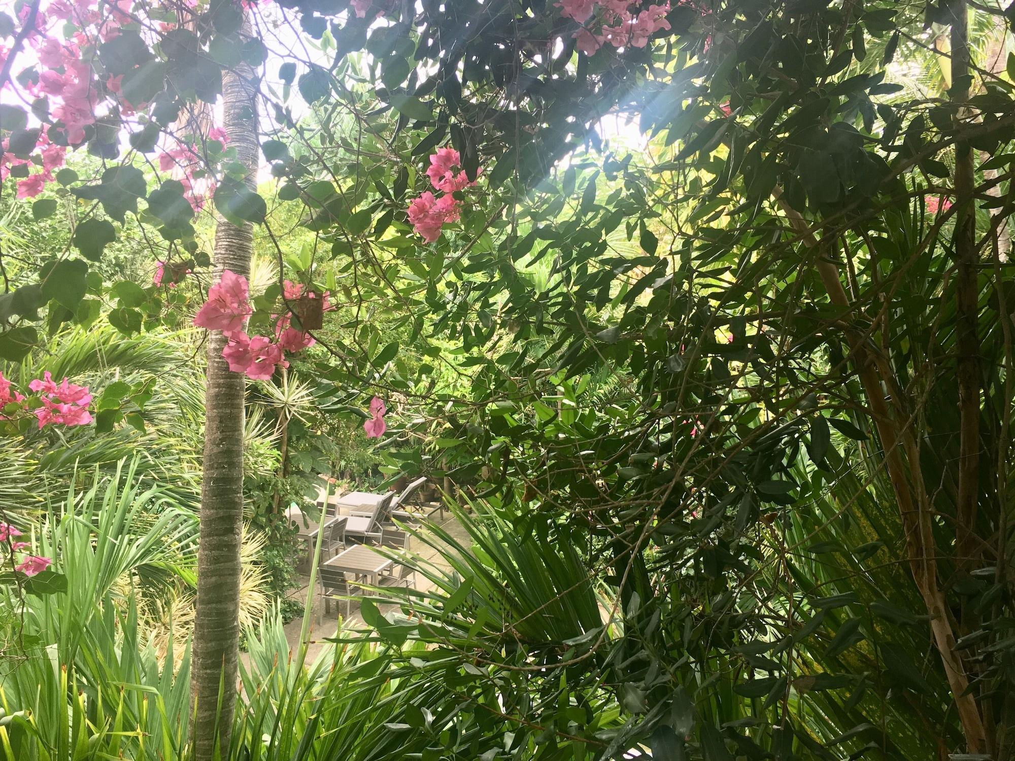 Siboney Club St. John's