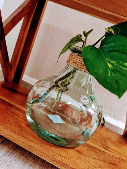 Apartamento Eco