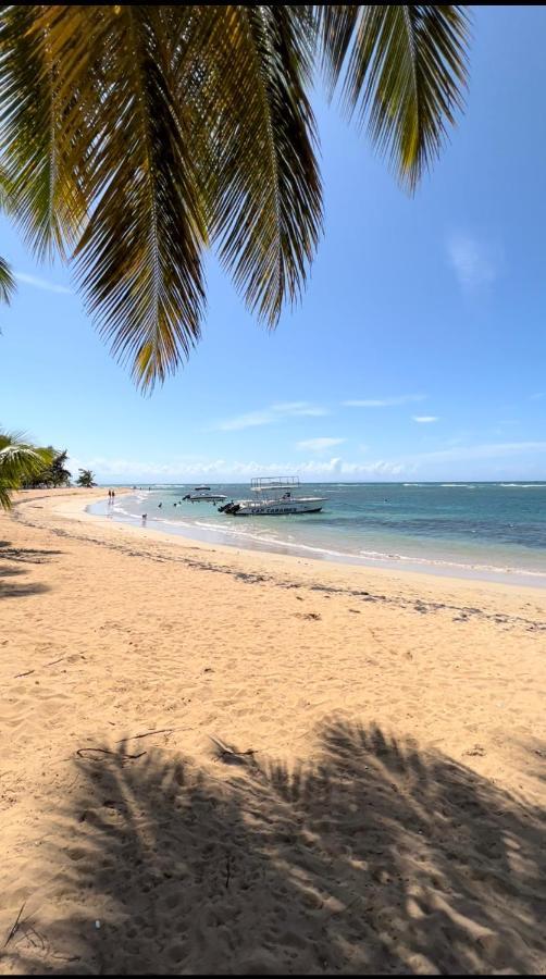 Apartment Lovely Beachfront 2 Bedrooms With 2 Pools Las Terrenas