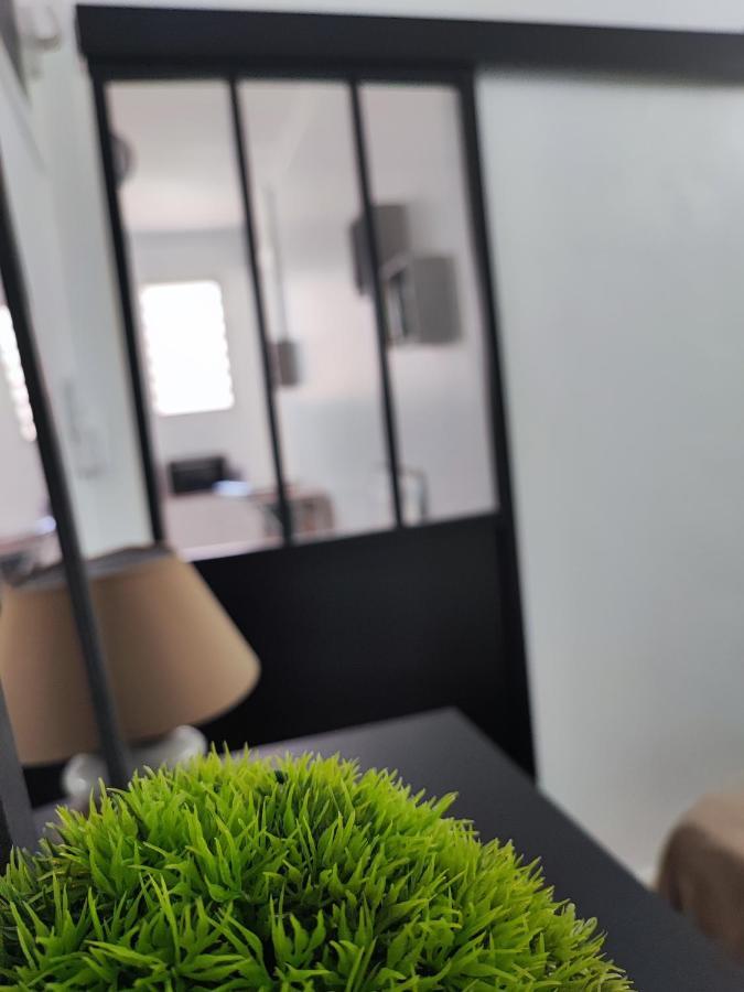 Apartment Joli T2 Renove Et Calme Quartier Desrochers A De France