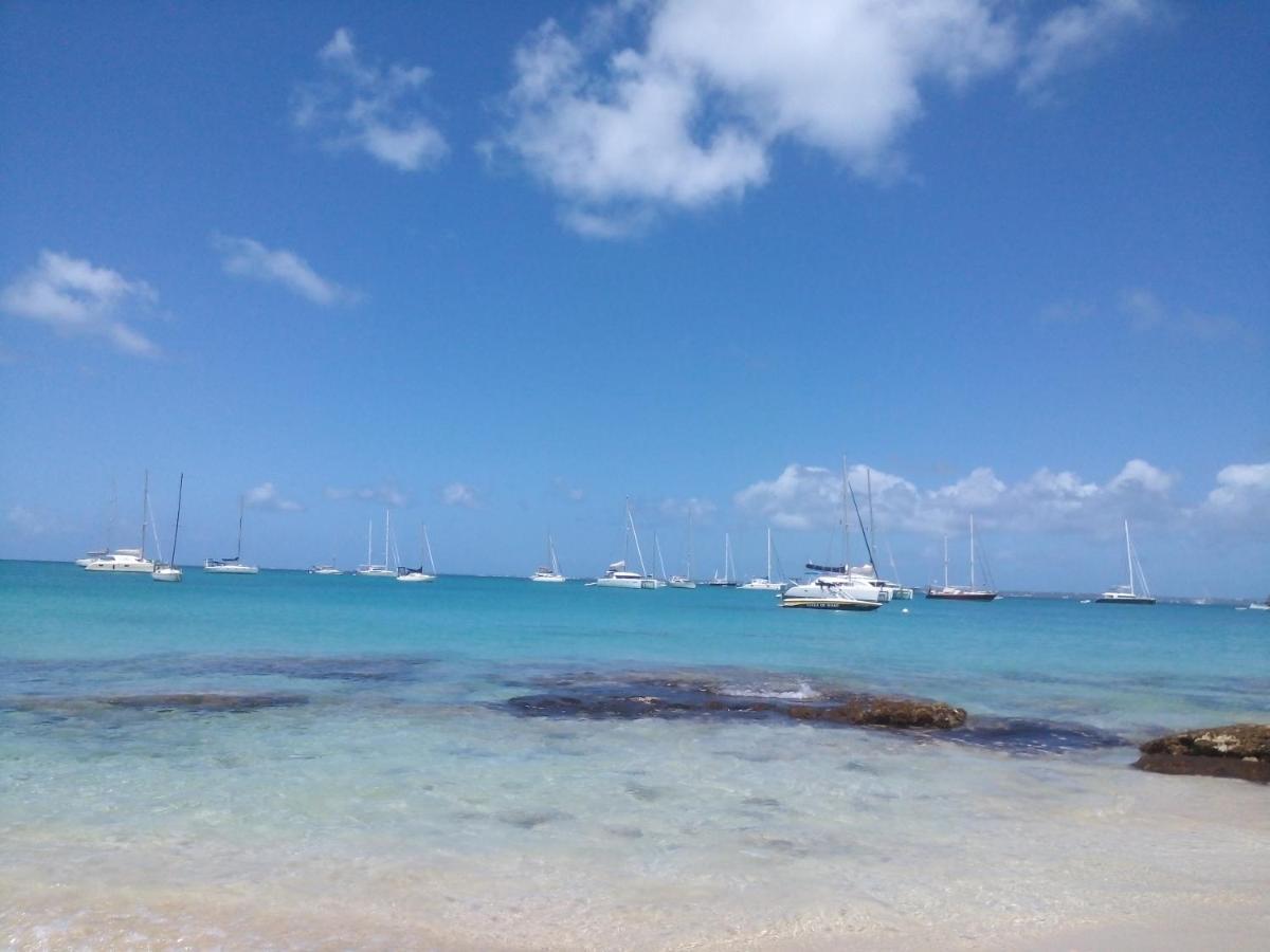 Fresh Cool Marigot (Saint Martin)