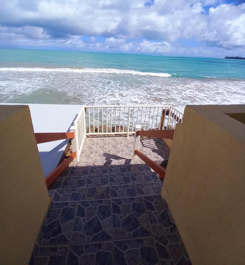 Selva Boutique - Oceanfront Retreat - Adults Only