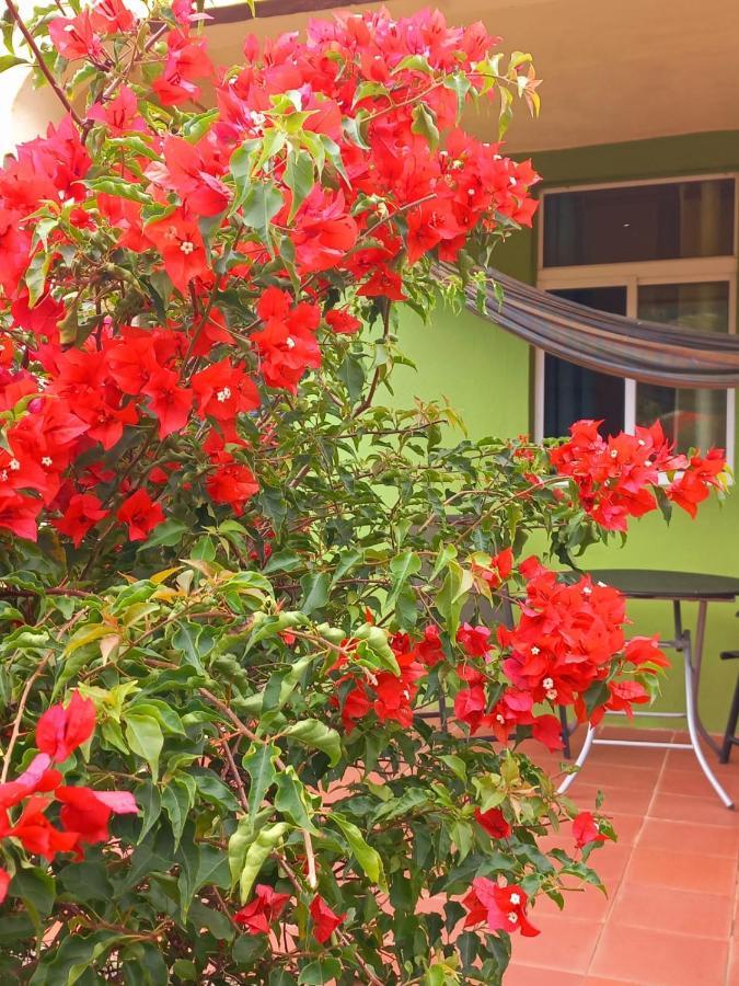 Lodge Serenity Dominica