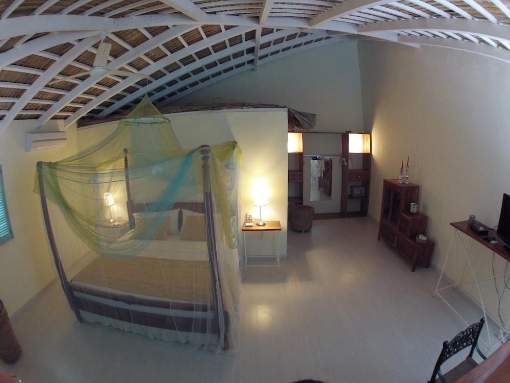 Piratas Del Caribe Paraíso