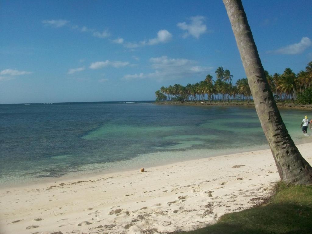 Guest house La Caleta *
