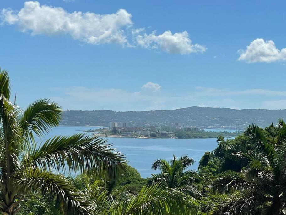 Apartment Spring Garden Mobay Luxurious Montego Bay