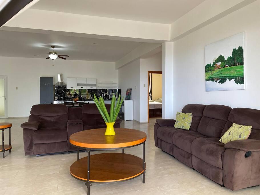 Apartment Spring Garden Mobay Luxurious *