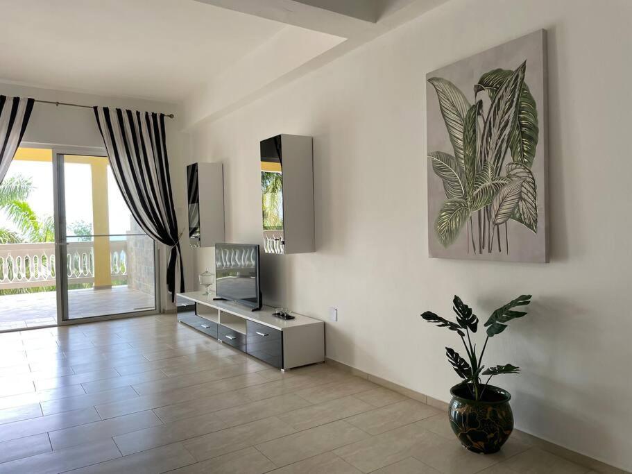 Spring Garden Mobay Luxurious Apartment