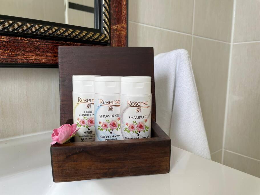 Apartment Spring Garden Mobay Luxurious
