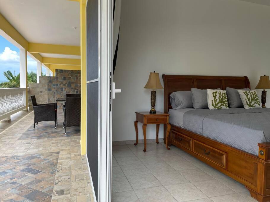 Apartment Spring Garden Mobay Luxurious