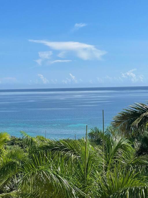 Spring Garden Mobay Luxurious Apartment *