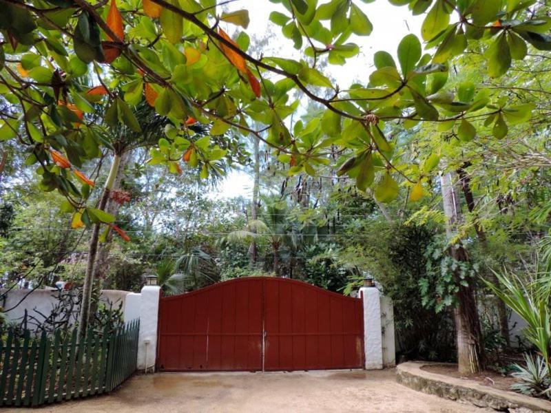 Tingalaya's Retreat Negril