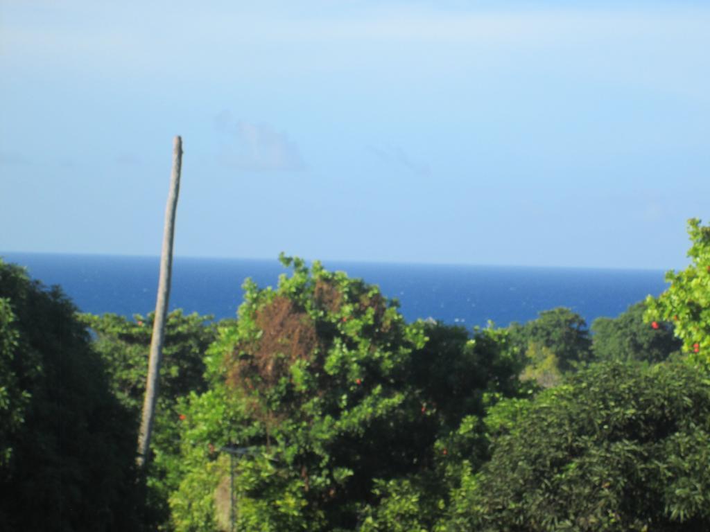 Paradise 2*