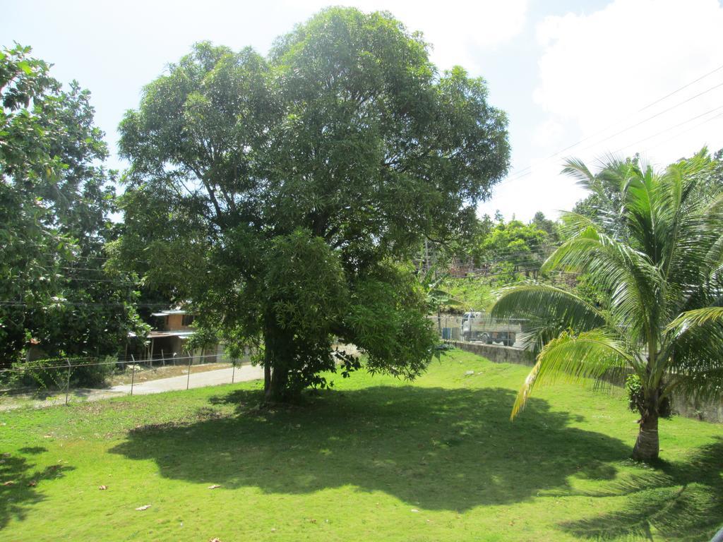 Paradise Port Antonio