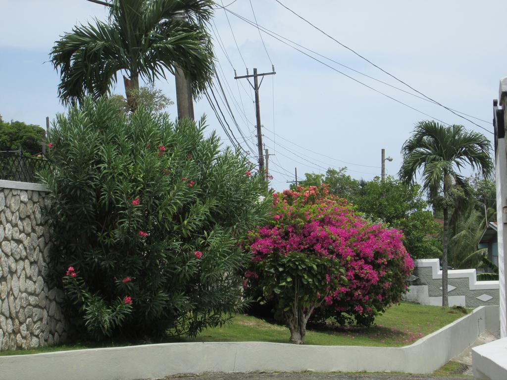 Paradise 2*