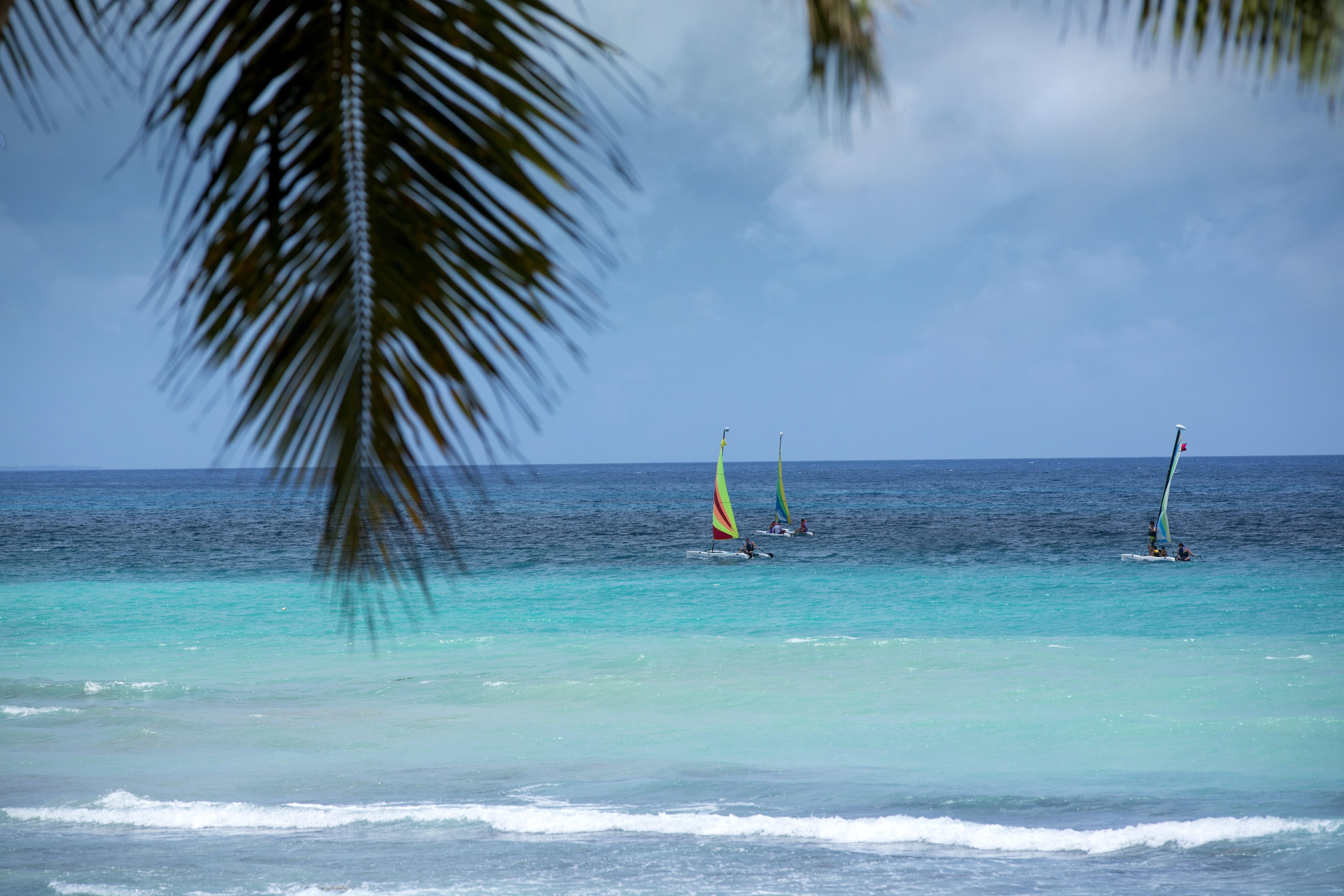 Viva Dominicus By Wyndham, A Trademark 4*