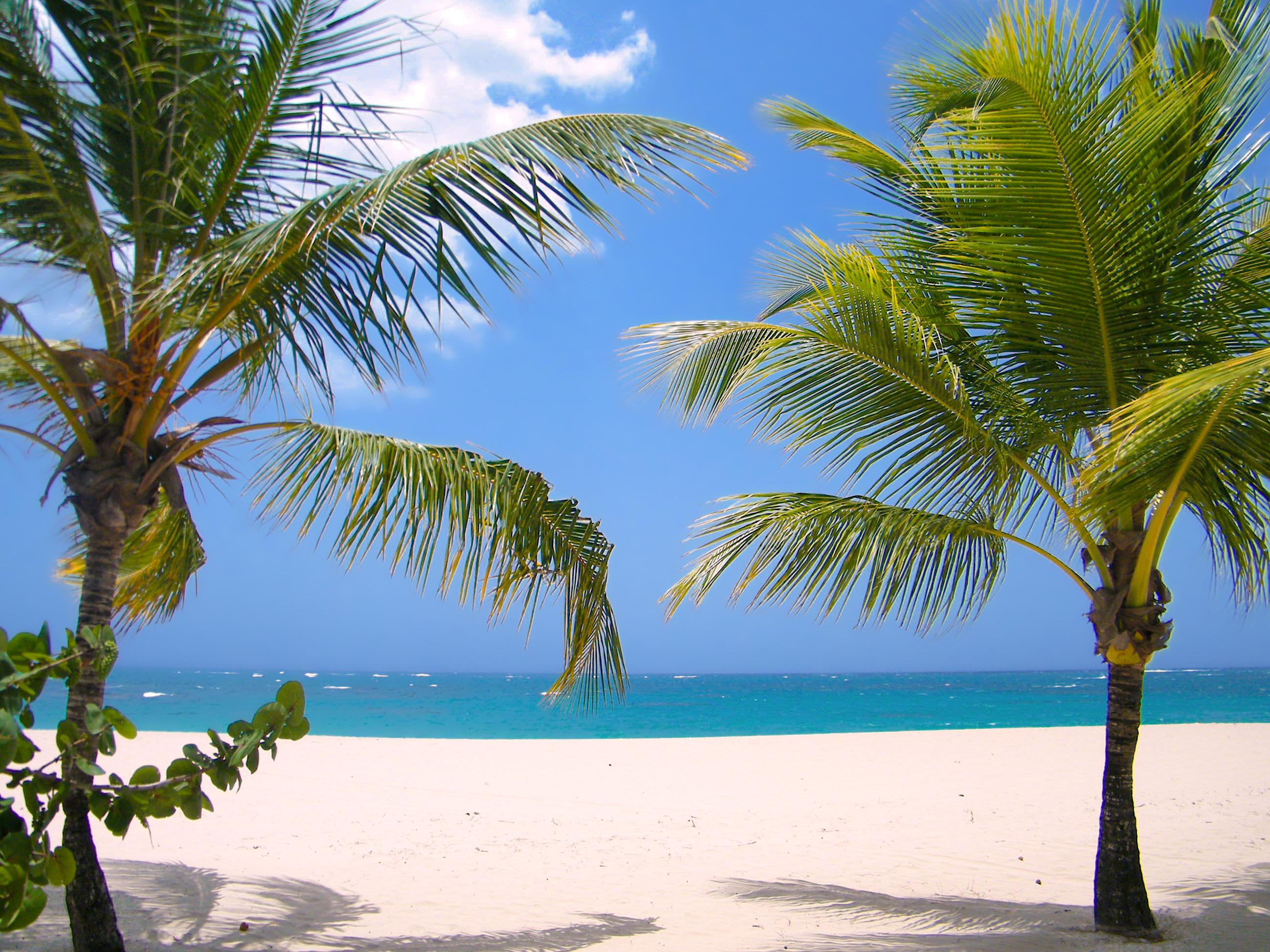 Viva Heavens By Wyndham, A Trademark (adults Only) Resort