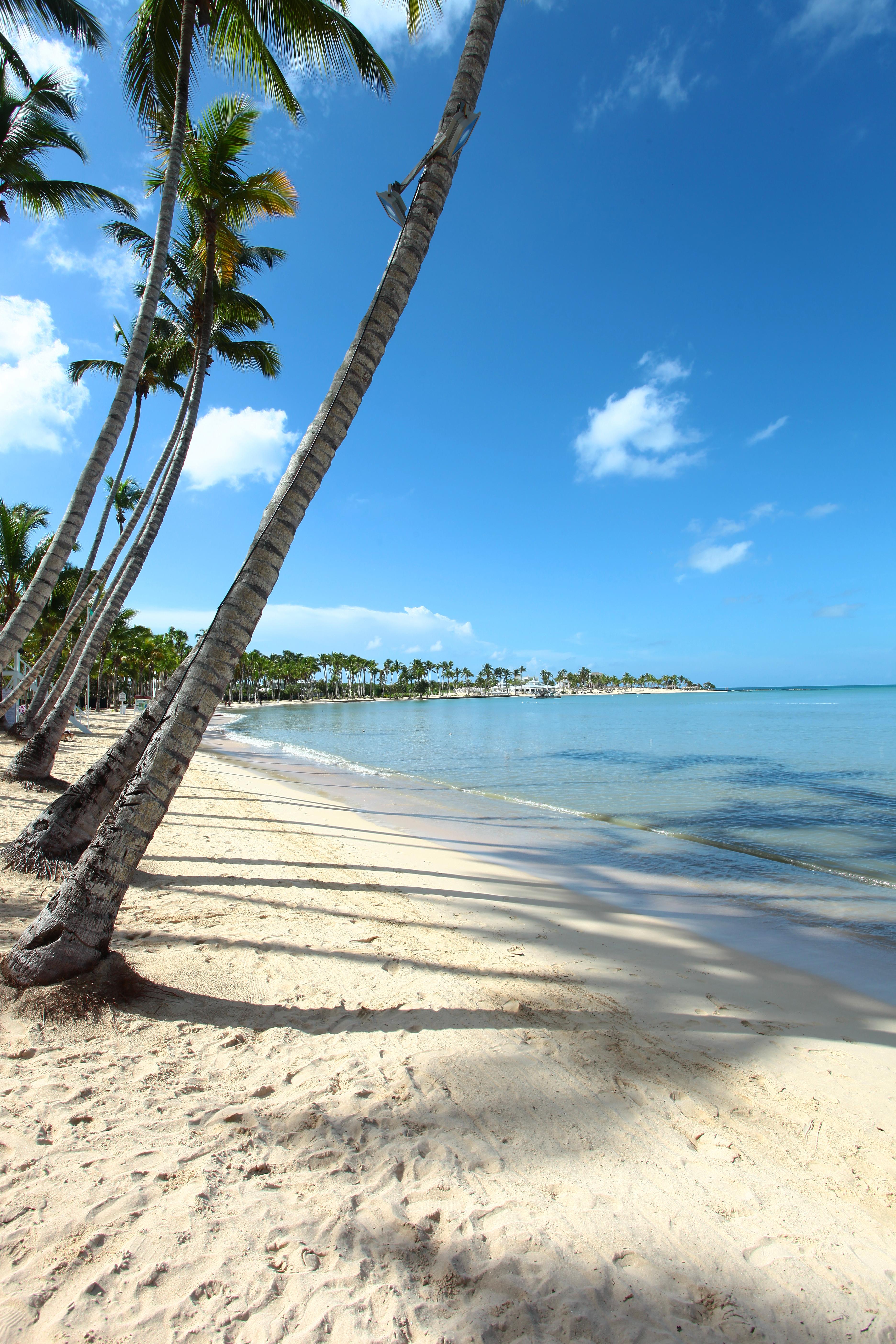 Resort Bahia Principe Grand La Romana (adults Only) 5*
