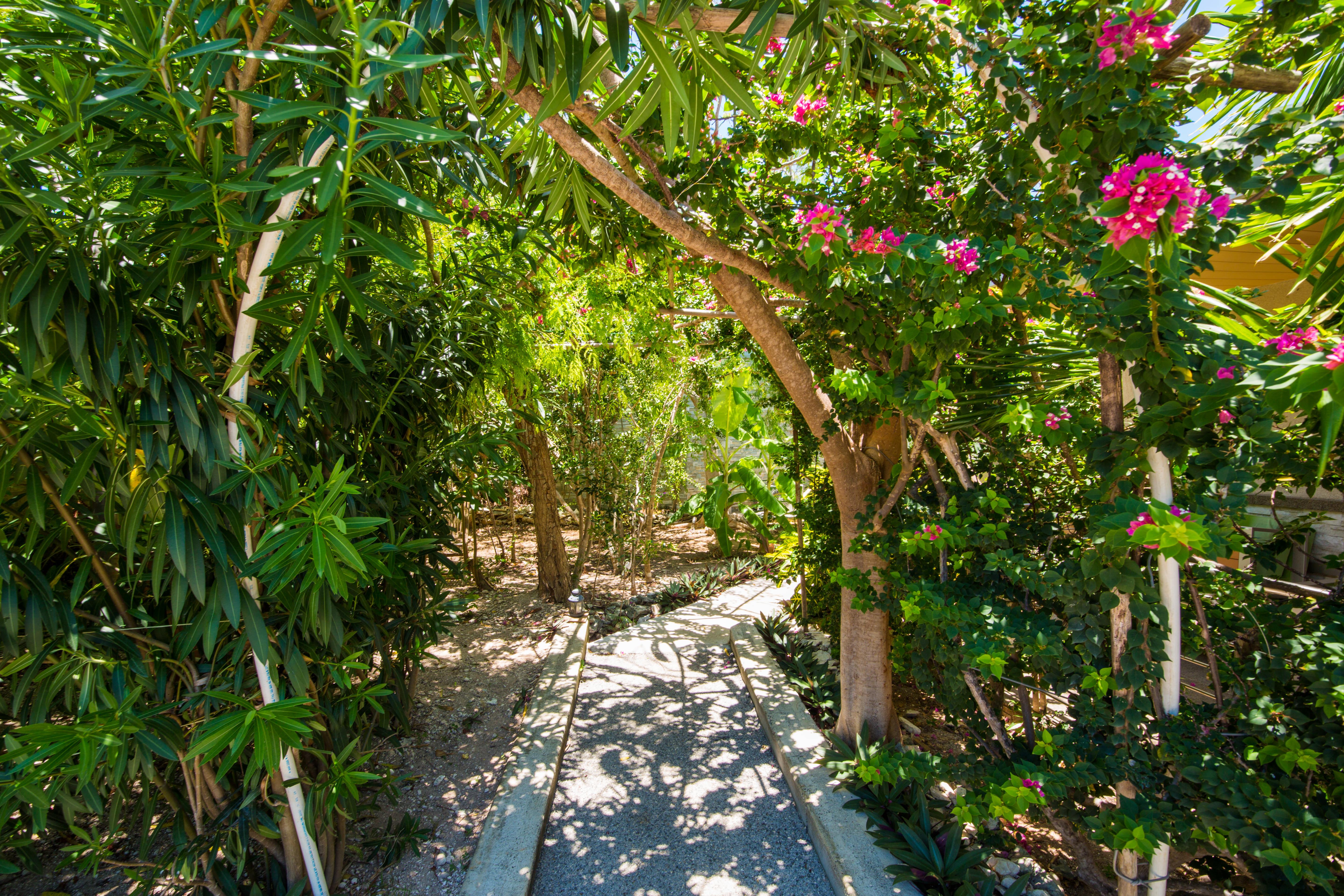 One On Marlin (adults Only) Resort Turtle Cove