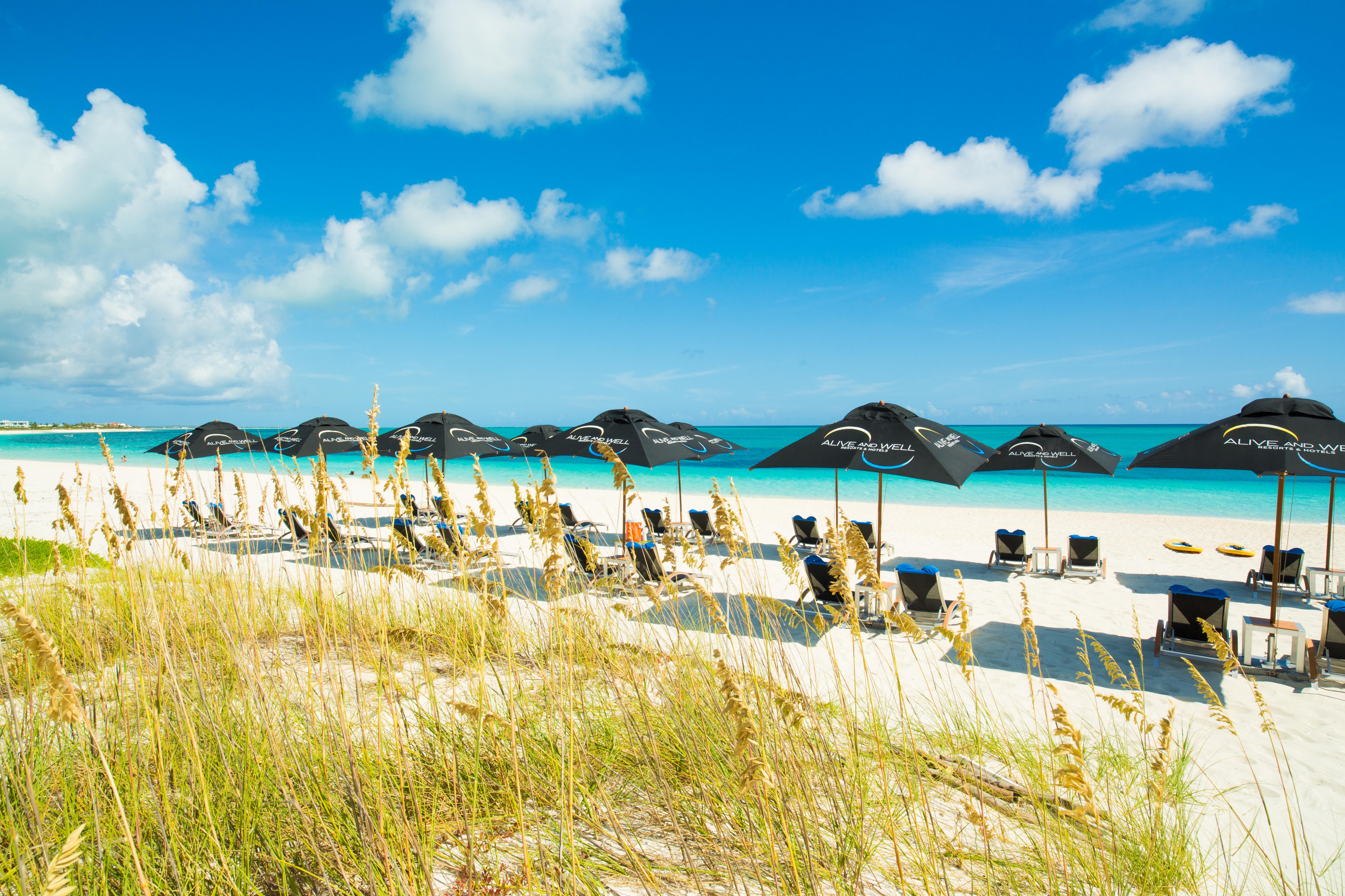 One On Marlin (adults Only) 4*