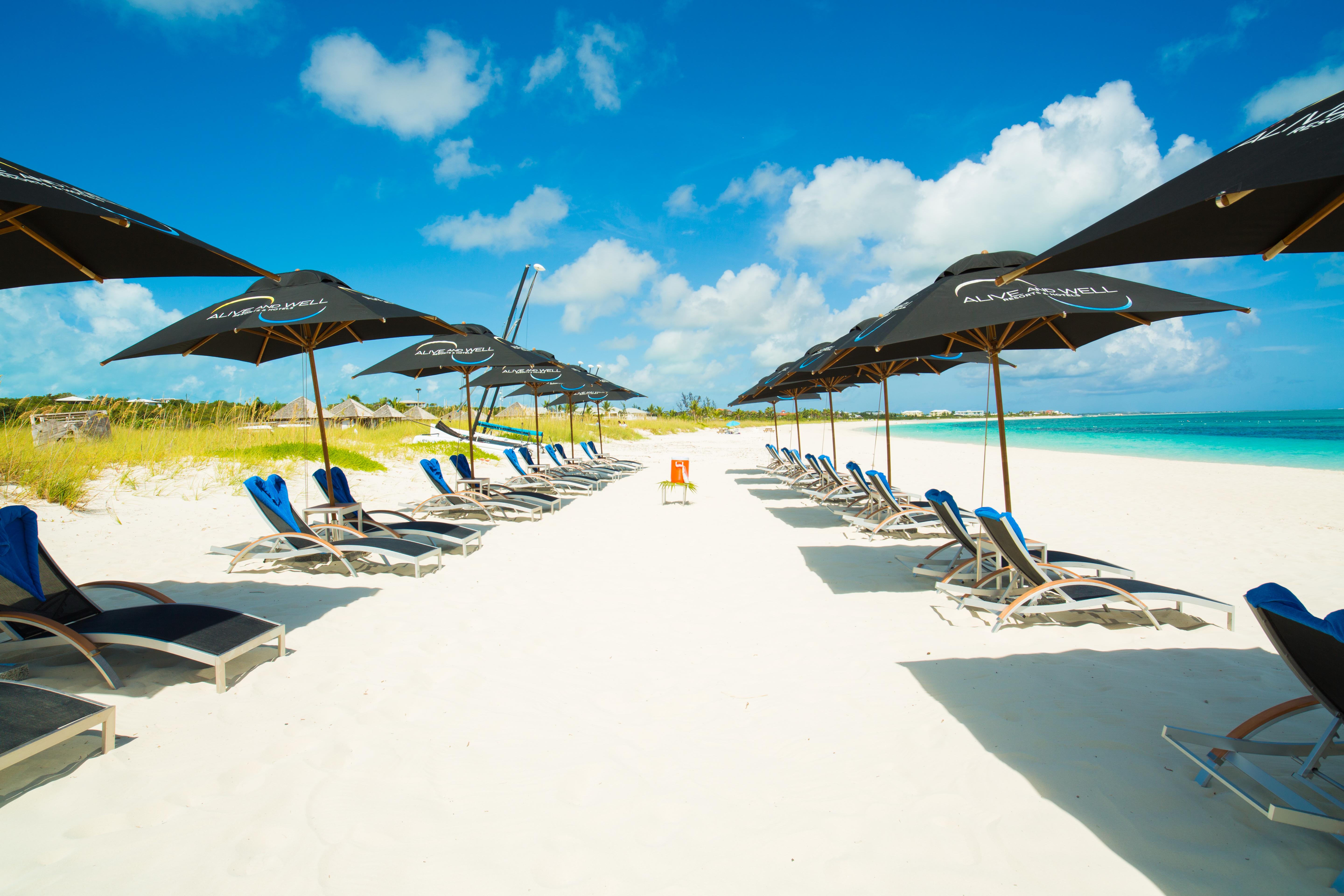 One On Marlin (adults Only) 4*