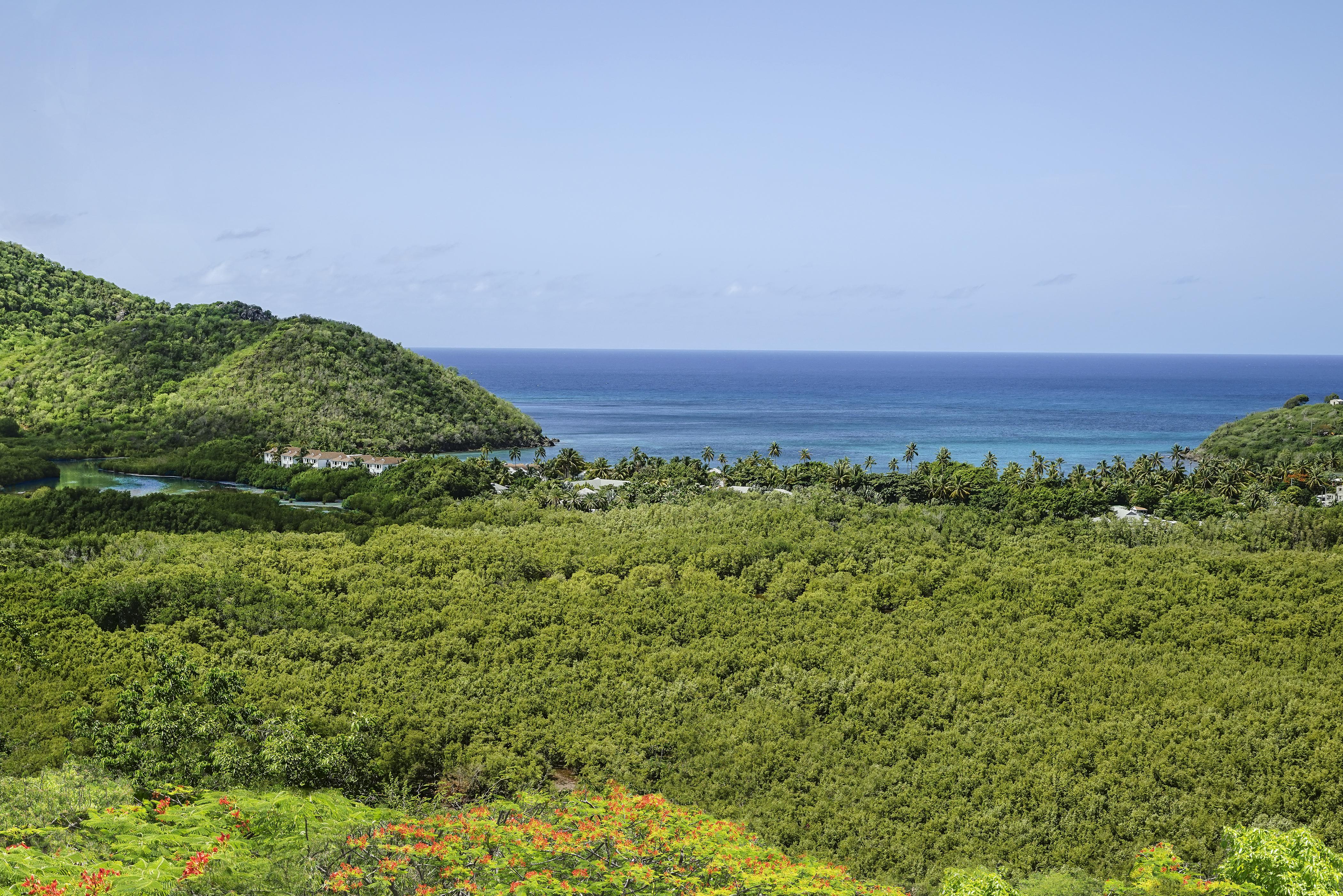Hotel Carlisle Bay 5*