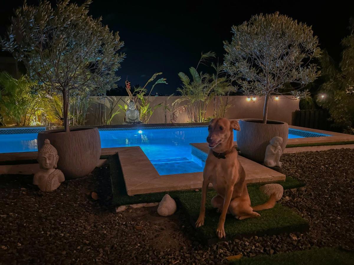 Guest house Y Solo Unique Private Walking Distance To The Palm Beach
