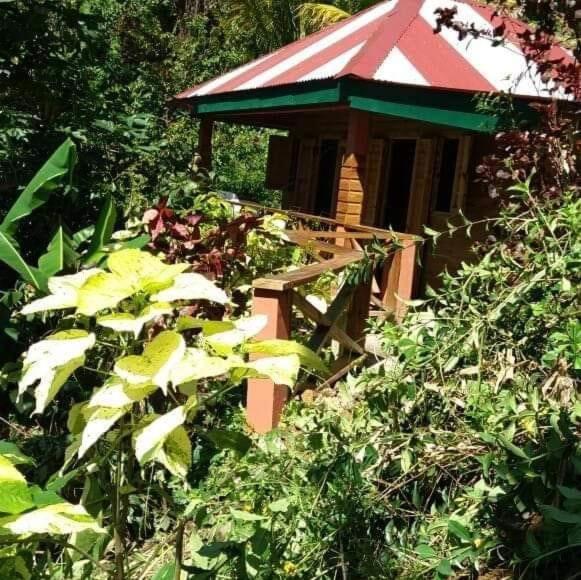Holiday home Berkey's Jungle Paradise *