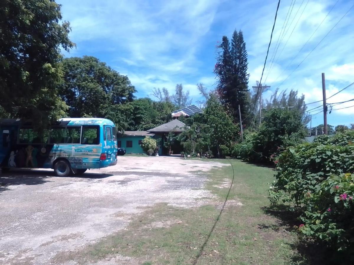 Hotel Ocean & Sun & Negril
