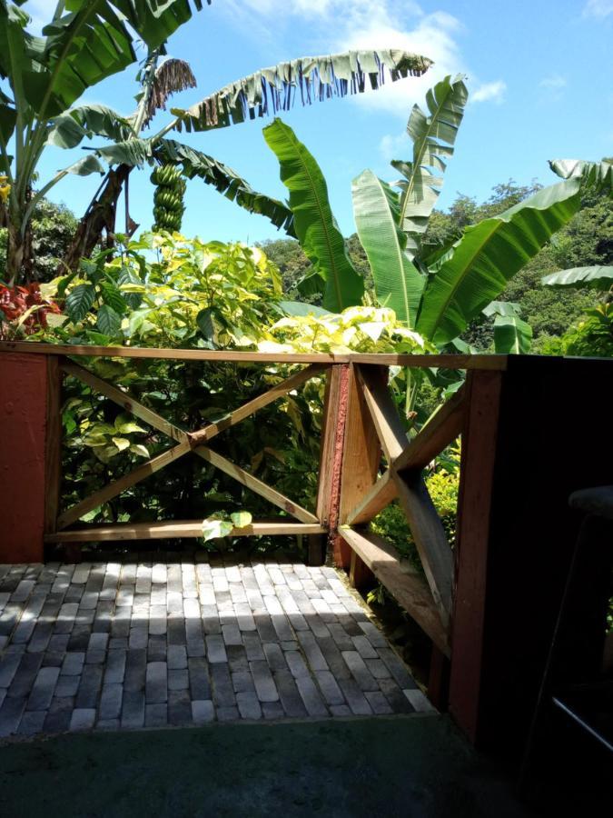 Berkey's Jungle Paradise * Roseau