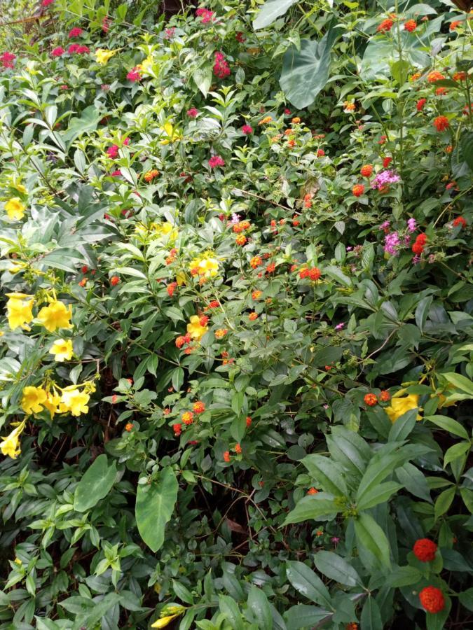 Holiday home Berkey's Jungle Paradise