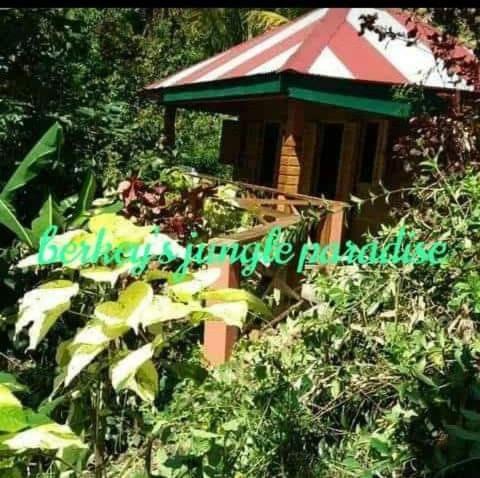 Berkey's Jungle Paradise Holiday home Roseau