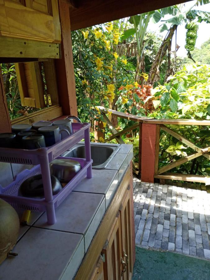 Berkey's Jungle Paradise Holiday home *