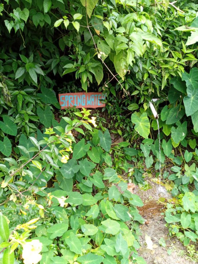 Berkey's Jungle Paradise * Roseau